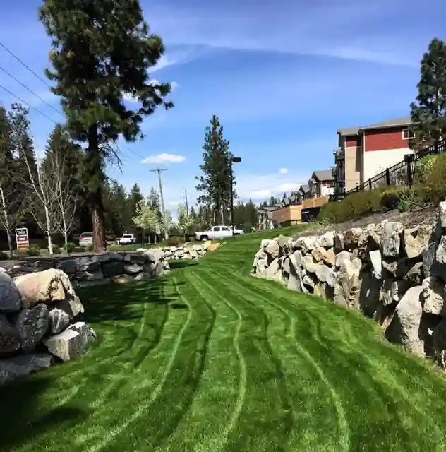 A Yakima Lawn Year: What to Do in Spring, Summer, Fall and Winter
