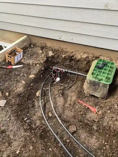 Open valve box with drip lines running through it