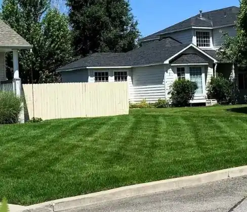 A thick, evenly striped front lawn on a corner lot beside a white fence