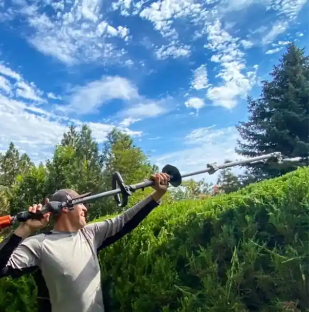 A crew member trimming a hedge with a pole trimmer